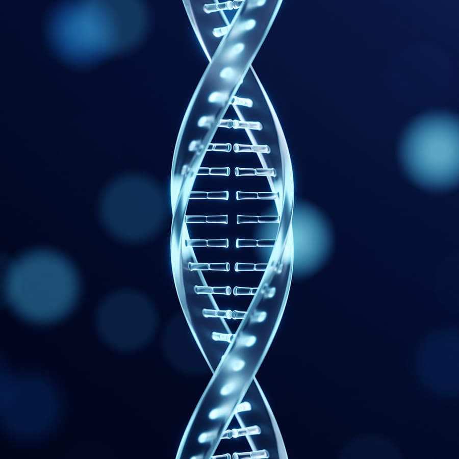 Genética DNA